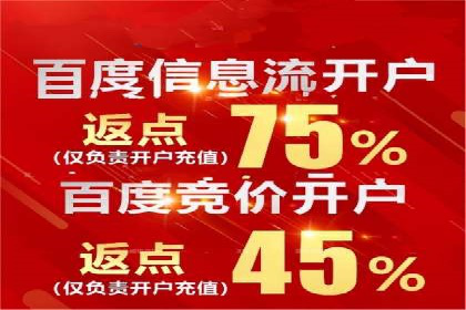 初学者的百度竞价推广：成功案例揭秘